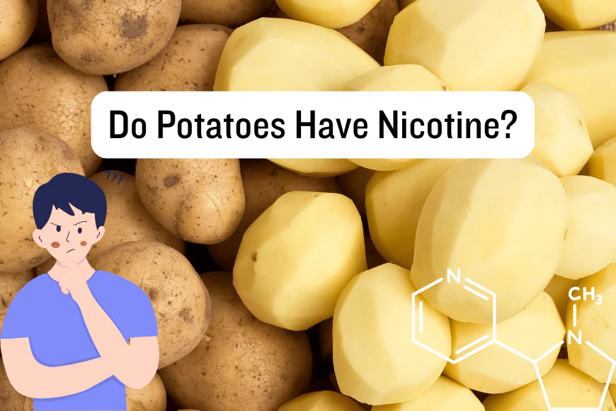potatoes contain small amounts of nicotine f09f0944 77ce 4bf9 884d 20a93398f07f