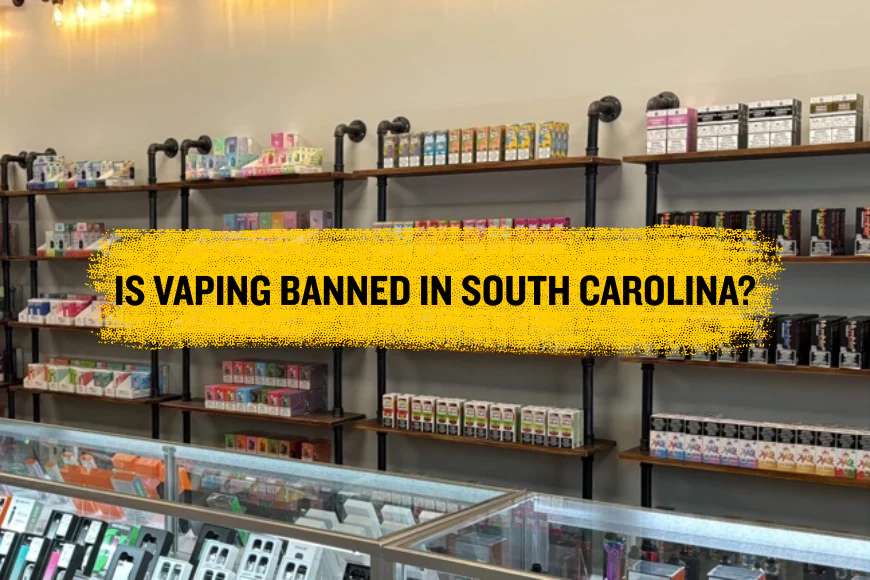 vape ban sc